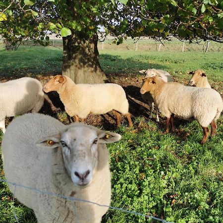 Ferienhof Stobbe Grube エクステリア 写真