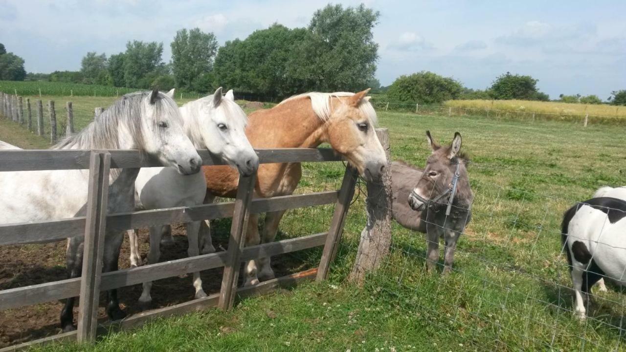 Ferienhof Stobbe Grube エクステリア 写真