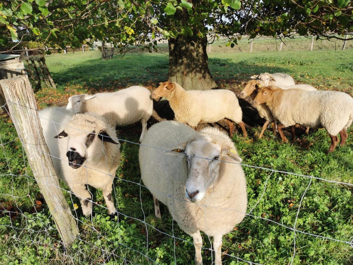 Ferienhof Stobbe Grube エクステリア 写真